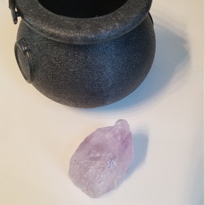 Alaina added a photo of their purchase
