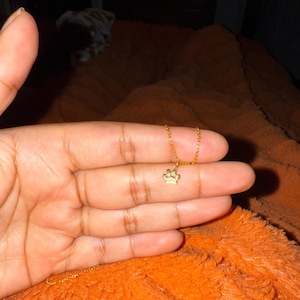 Shobha added a photo of their purchase