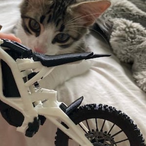Lucas added a photo of their purchase