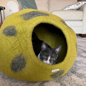 Jill added a photo of their purchase