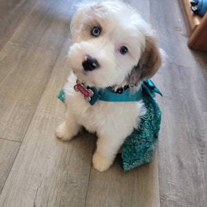 Lainey ha añadido una foto de su compra