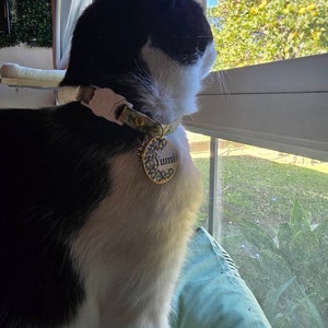 isabel added a photo of their purchase