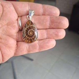 Phil added a photo of their purchase
