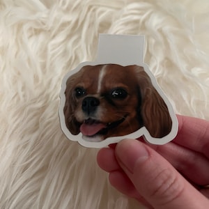 Alex added a photo of their purchase