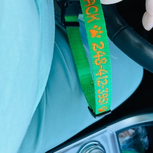 Susan added a photo of their purchase