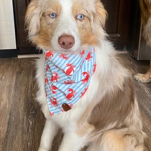 Aztec Taos Southwestern Dog Bandana Frayed Edge Tie and - Etsy