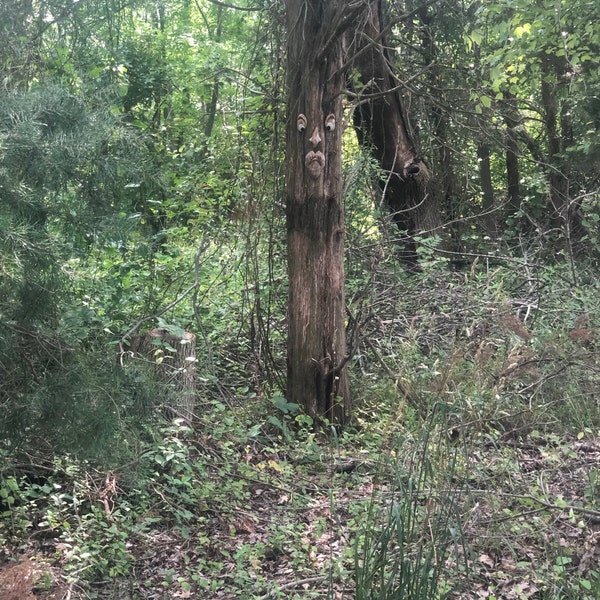 The ORIGINAL & GENUINE Mr. Grumpy Stump Tree Face Gift for Dad Fun ...