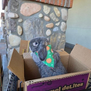 Collette added a photo of their purchase