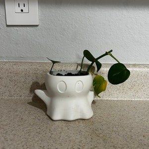 Molly added a photo of their purchase