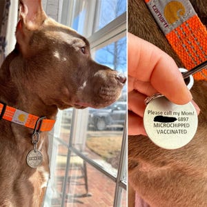 Nancy added a photo of their purchase