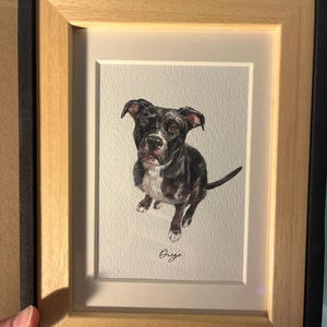 Tessa added a photo of their purchase