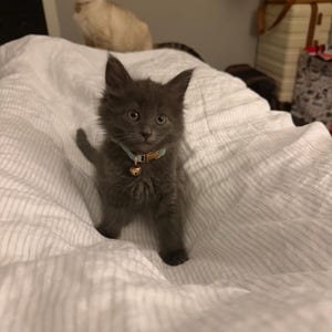 Morgan a ajouté une photo de son achat