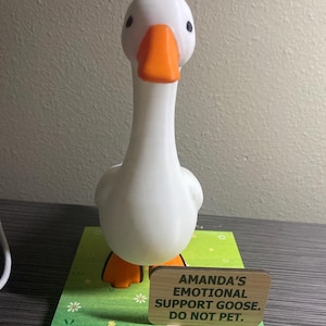 Amanda added a photo of their purchase