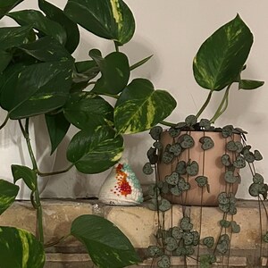 Etsy-Käufer:in hat ein Foto des gekauften Artikels hinzugefügt