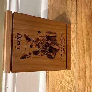 D added a photo of their purchase