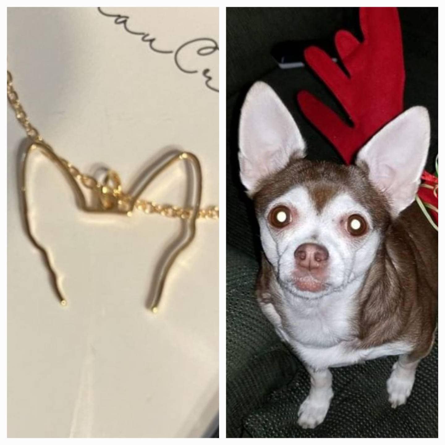 Custom Dog Ears Outline Necklace - Personalized Pet Jewelry - Animal Silhouette Pendant- Unique Dog Lover Gift - Memorial Pet Portrait Gift