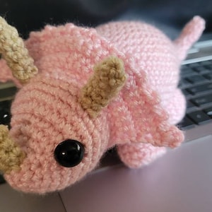 Rachael added a photo of their purchase
