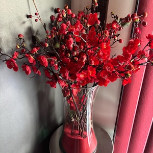 Shirley added a photo of their purchase