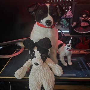 Daisy added a photo of their purchase