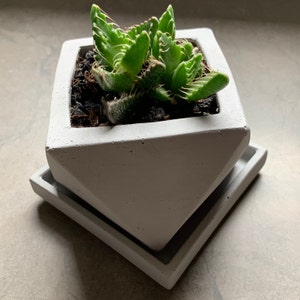 lpinero a ajouté une photo de son achat