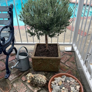 Judith added a photo of their purchase