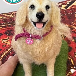 Nancy added a photo of their purchase