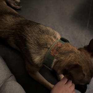 Isaac heeft een foto van de aankoop toegevoegd