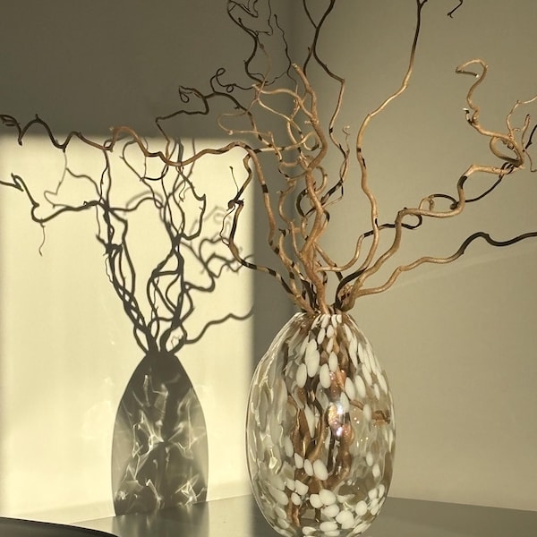 Contorted Twisted Hazel Corylus Branches, Real Decorative Branches ...