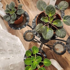 Beverly added a photo of their purchase