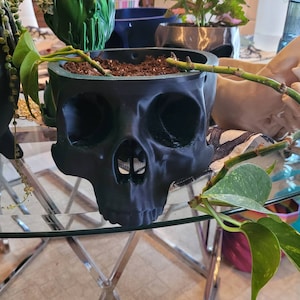 amanda added a photo of their purchase