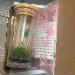 Linda added a photo of their purchase