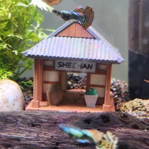 Judith added a photo of their purchase