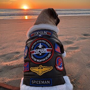 Top Gun Dog Jacket Pilot Dog Costume Pet Halloween Outfit