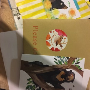 Andrew adicionaram uma foto da sua compra