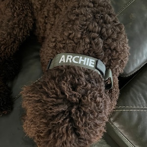 Robin added a photo of their purchase