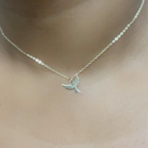 Kellyray added a photo of their purchase
