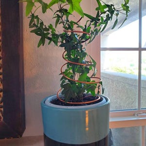 Christina added a photo of their purchase