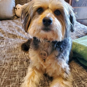 Haley added a photo of their purchase