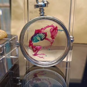 Tommaso added a photo of their purchase