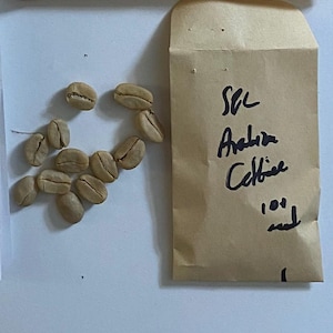 Amy added a photo of their purchase