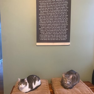 Anna added a photo of their purchase