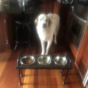 Kathleen さんが購入した商品の写真を追加しました