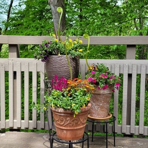 Renee added a photo of their purchase