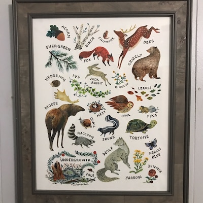 ABC Nature Alphabet Wilderness Art Print - Etsy Canada