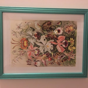 Geraldene added a photo of their purchase
