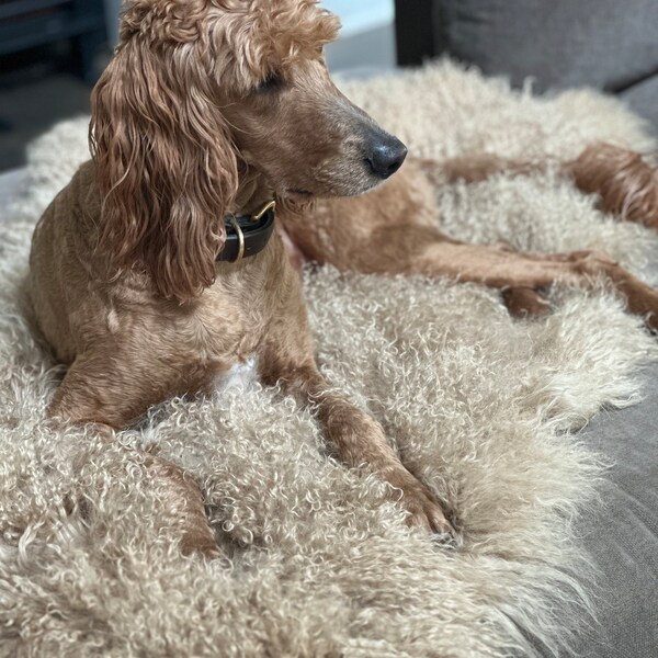 Tibetan Lambskin Seat Warmer- Caramel