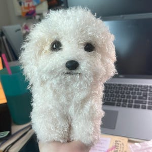 Sydney added a photo of their purchase