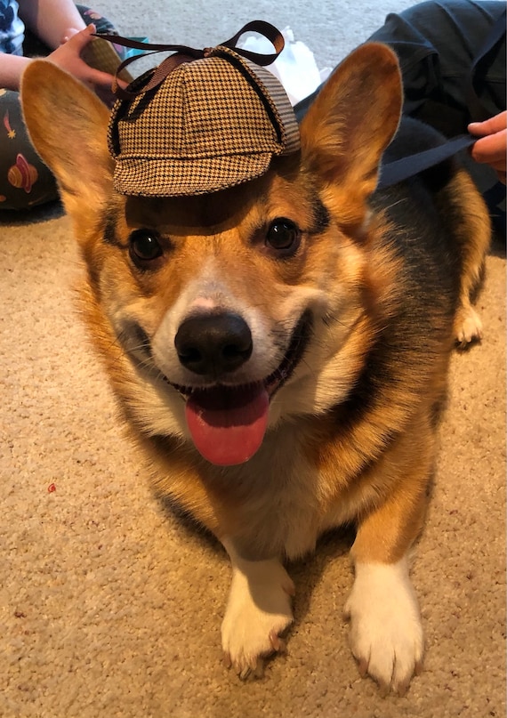Customer photo of a pet with the Sherlock Holmes Deerstalker Houndstooth Hat for