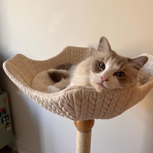 Kate added a photo of their purchase