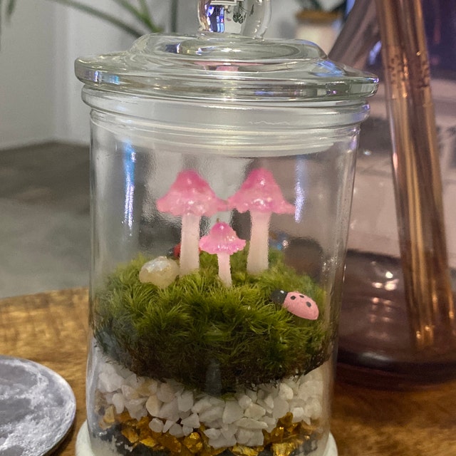 Mini Moss Terrarium – rerootgardens
